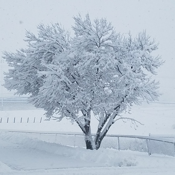 Meet your Posher, Michelle - Picture 3 of 4